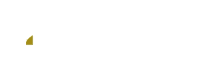 White Heart Initiative, leading the future